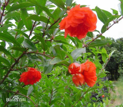 圖片關(guān)鍵詞 圖片關(guān)鍵詞